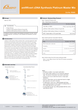 amfiRivert cDNA Synthesis Platinum Master Mix