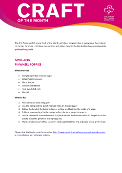Craft Template - Girl Guides Queensland