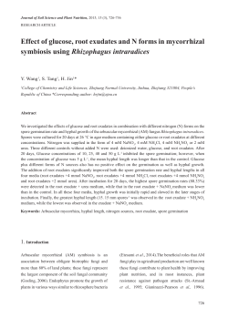 Effect of glucose, root exudates and N forms in mycorrhizal