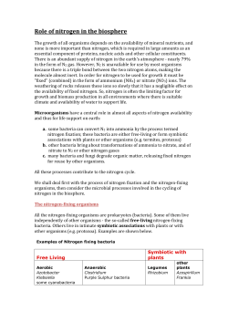 Role of nitrogen in the biosphere