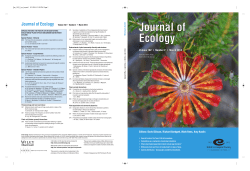 Functional distinctiveness of major plant lineages
