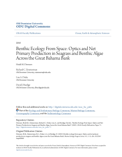 Optics and Net Primary Production in Seagrass and Benthic Algae