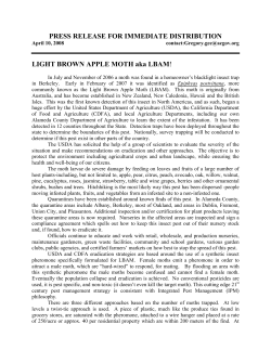 PRESS RELEASE FOR IMMEDIATE DISTRIBUTION LIGHT BROWN