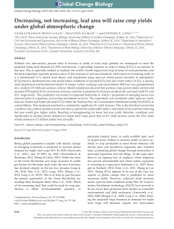 Decreasing, not increasing, leaf area will raise crop yields under
