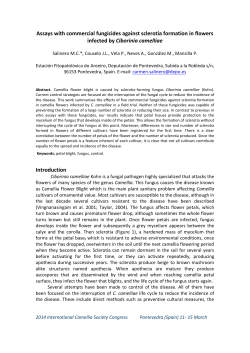 Template of full paper in .doc format