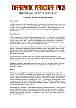 AI instructions 2007.pub - The British Pig Association