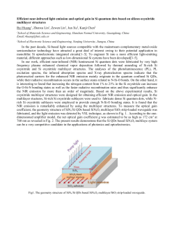Guidelines for Abstract