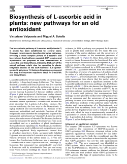 Biosynthesis of L-ascorbic acid in plants