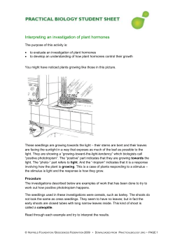Interpreting an investigation of plant hormones