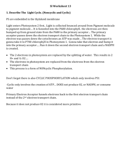 SI Worksheet 13 1. Describe The Light Cycle. (Noncyclic and