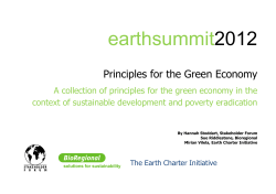 Principles for the Green Economy