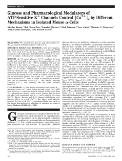 Glucose and Pharmacological Modulators of ATP