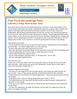 Master Gardener Newspaper Articles Frost Facts and Landscape