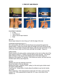 1. PIKE SIT AND REACH