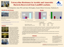 Tetracycline Resistance in Aerobic and Anaerobic Bacteria