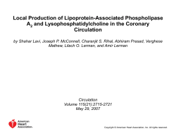 Figure 2. Correlation between lysoPC net production in