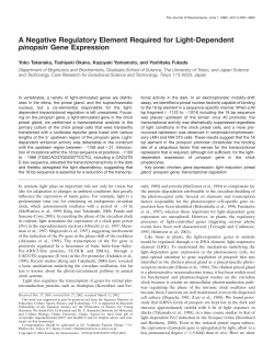 A Negative Regulatory Element Required for Light