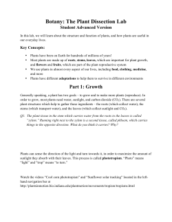 Botany: The Plant Dissection Lab