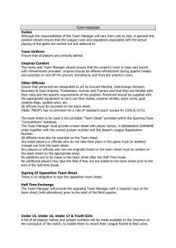 TEAM MANAGER Instructions