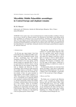 Microlithic Middle Palaeolithic assemblages in Central Europe and
