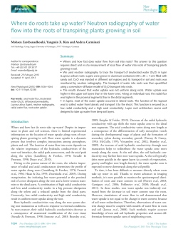 Neutron radiography of water flow into the roots of transpiring plants