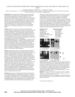 0304 - a novel matrix metalloprotease
