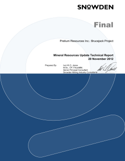 Mineral Resources Update Technical Report