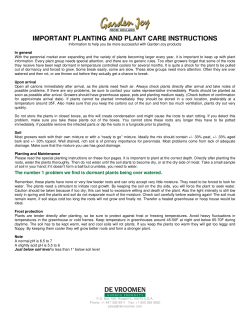 important planting and plant care instructions