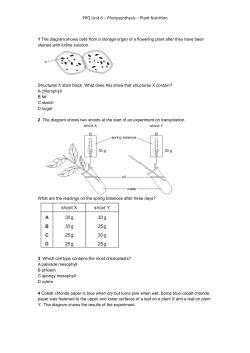 PPQ Unit 6 &ndash; Photosynthesis &ndash; Plant Nutrition