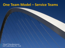 One Team Model &ndash; Service Teams