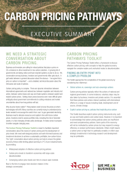 carbon pricing pathways