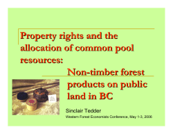 Property rights and the allocation of common pool resources: Non