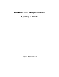 Reaction Pathways During Hydrothermal Upgrading of Biomass