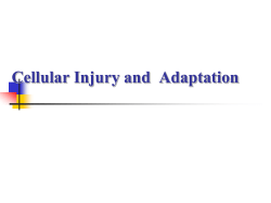 Cell Injury