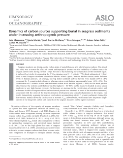 Dynamics of carbon sources supporting burial in seagrass