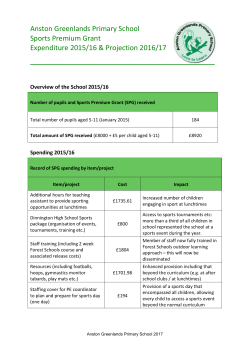 Sports Premium Grant Expenditure (2015