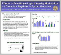 Student/Faculty Research Day