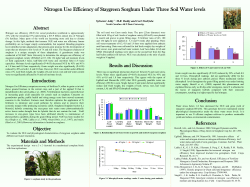 Nitrogen Use Efficiency of Staygreen Sorghum Under Three Soil
