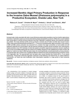 Increased Benthic Algal Primary Production in Response to the