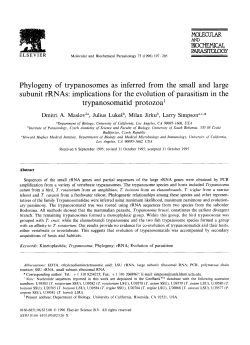 Phylogeny of trypanosomes as inferred from the small and large