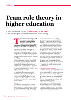 Team Role Theory in Higher Education (PDF Document)