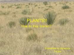plants!! - Sevilleta LTER