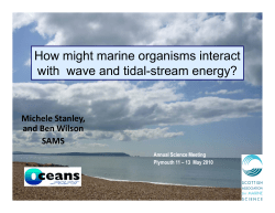 How might marine organisms interact with wave and tidal
