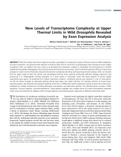 New Levels of Transcriptome Complexity at Upper
