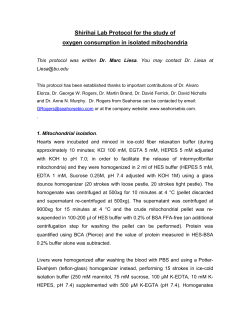 Shirihai Lab Protocol for the study of oxygen consumption in isolated