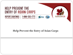 Help Prevent the Entry of Asian Carps