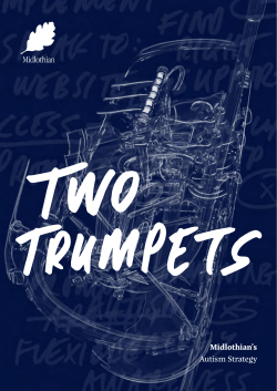 Midlothian`s Autism Strategy