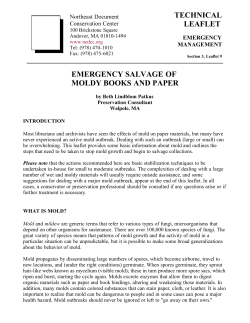 Emergency Salvage of Moldy Books and Paper