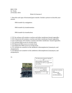 BIOS 1700 Dr. Tanda 25 October 2016 Week 10, Session 2 1