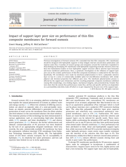 Impact of support layer pore size on performance of thin film